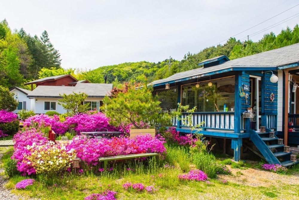 Pyeongchang Zermatt Pension Family, Couple المظهر الخارجي الصورة